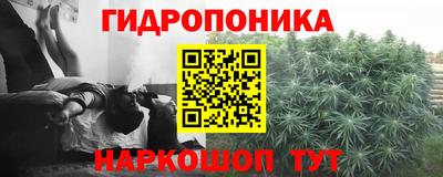 СК Уссурийск