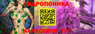 трава Чапаевск