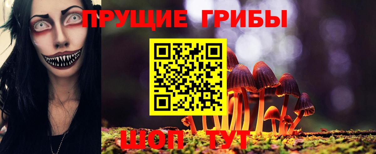 Галлюциногенные грибы Magic Shrooms  Вход с VPN  Муром 